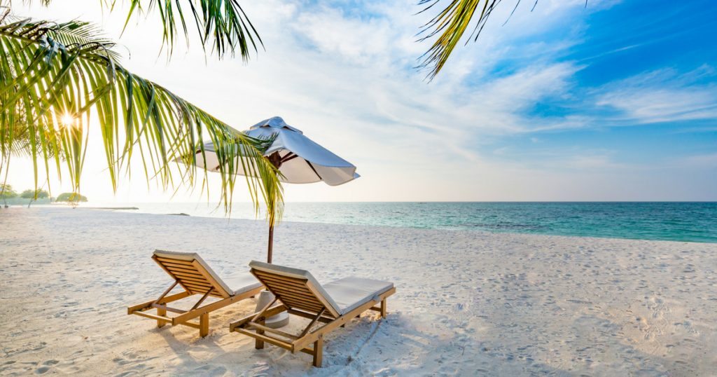 Summer vacation is scam season